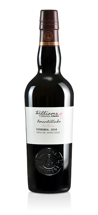 Amontillado en Rama 2010 (Saca de Junio de 2024)